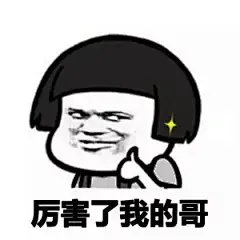 厉害了我的哥表情包-1