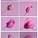 手工纸花制作···