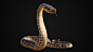 ArtStation-PBR毒蛇，亚历山大·马丁