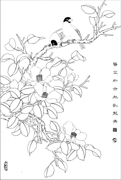 闪姚采集到线稿