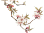 古风唯美水彩手绘粉色桃花树花朵花瓣花枝PNG免扣透明设计素材