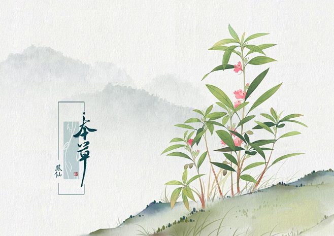 本草 植物 插画 中草药 水彩 手绘 古...