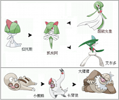 陈泽钙采集到神奇宝贝