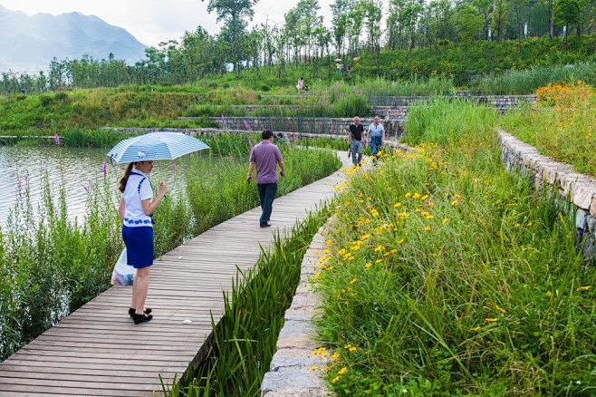 创意滨水景观设计图集丨公园生态河道湿地绿...