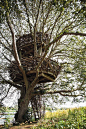 9 | 13 Of The World’s Coolest Treehouses | Co.Design | business + design
