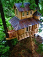 great tree house