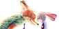 Zootopia# #疯狂动物城# #Nick# #Judy# #迪士尼# #动画# #电影# #3D# #欧美# #同人# #手绘# #人设# #海报#