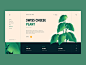 Monstera Deliciosa plant ux ui web vector color illustration design