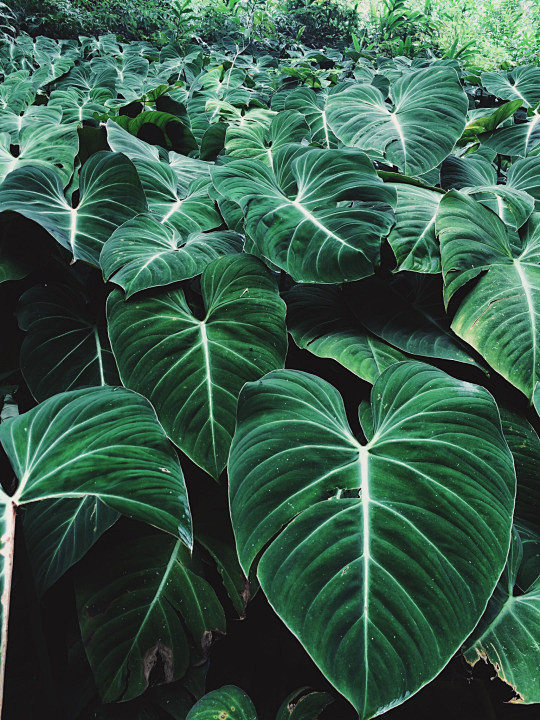 (6) Tumblr