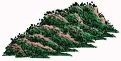 绘画山水