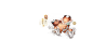 帝江