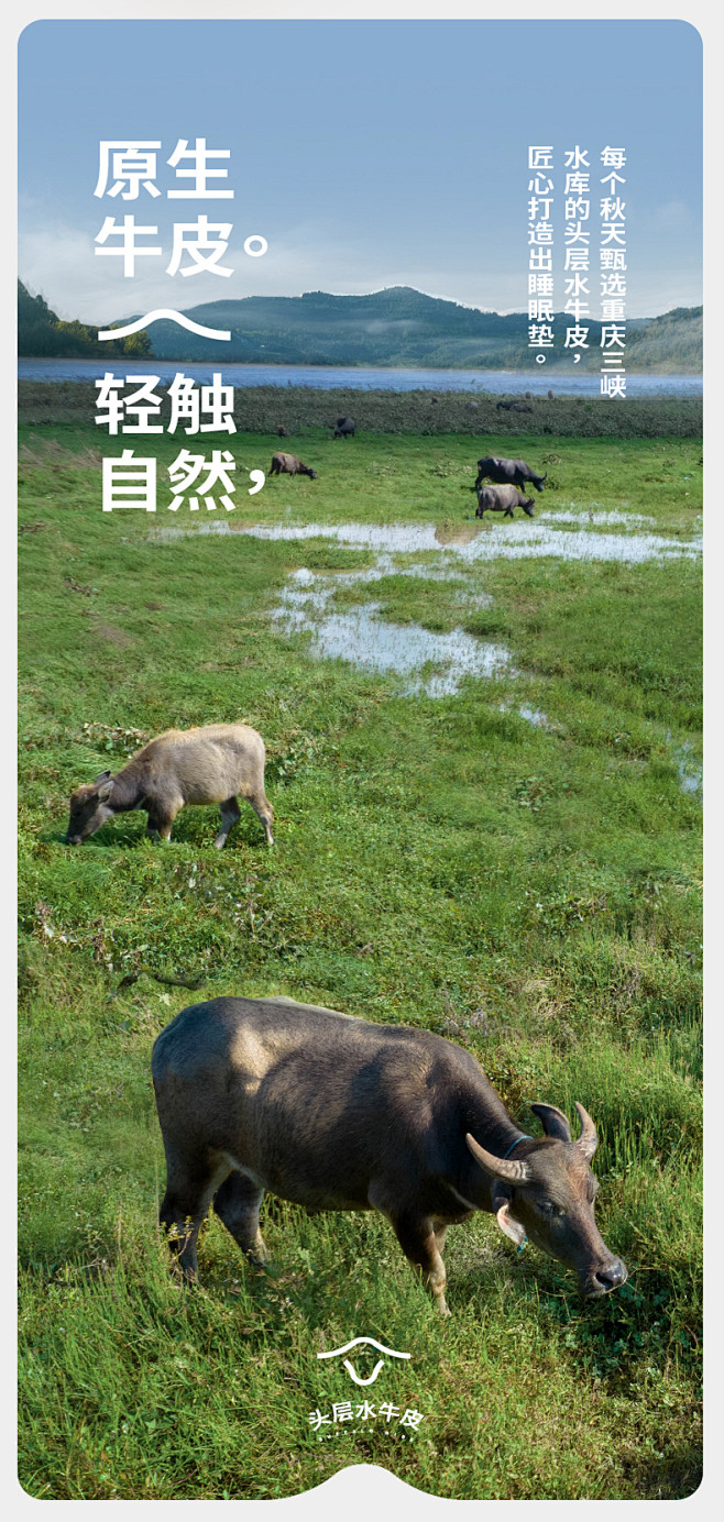 塔山品牌夏季牛皮席头层水牛皮凉席真皮彩绘...