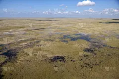 沼泽地国家公园,航拍视角,美国,国家公园,水平画幅,无人,墨西哥湾沿岸国家,沼泽,佛罗里达,摄影