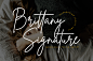 Brittany Signature Font | dafont.com