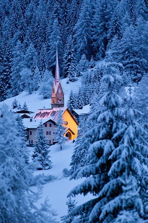 雪山森林，意大利Dolomites