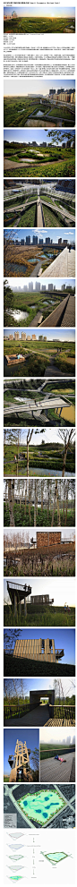 哈尔滨市群力新区城市湿地公园（Qunli Stormwater Wetland Park）