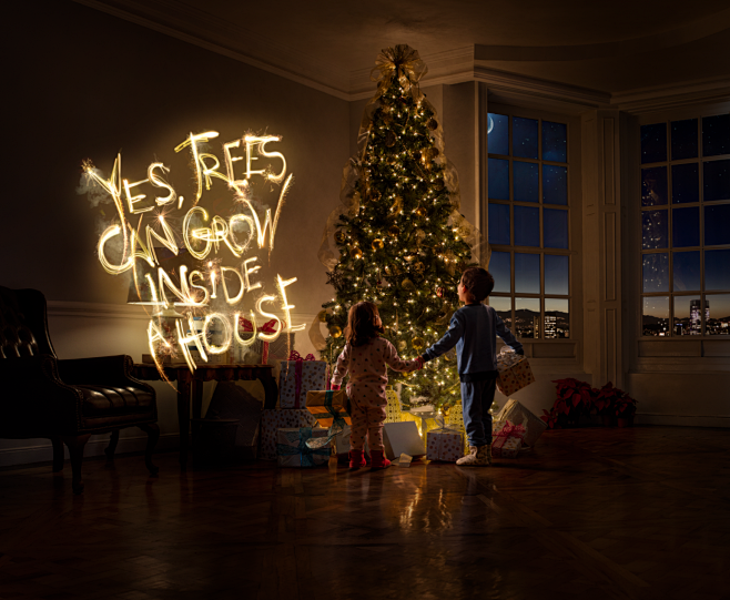 Christmas Lights - H...