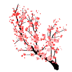 中国风梅花腊梅桃花樱花插画PNG素材