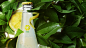 lemon-campaign-bg