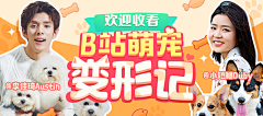 无氧的鱼采集到banner 