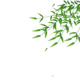 柳枝 - GIF动图 免费下载 - 爱给...