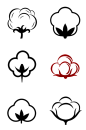 棉花