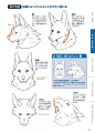 来自分享