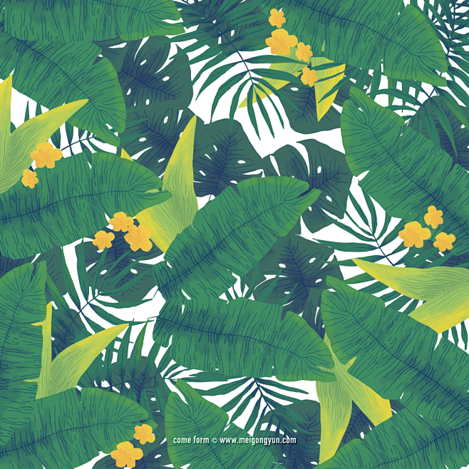 [美工云]Tropical-plant-...