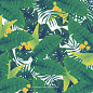 [美工云]Tropical-plant-flowers矢量热带植物元素_PNG：