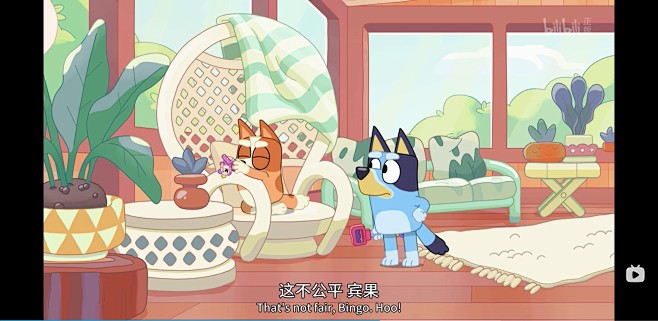 微信截图_20240513161635