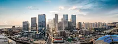 航拍青岛沿海建筑景观和天际线全景