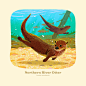 59 Parks Wildlife Alphabet Series – 金·史密斯