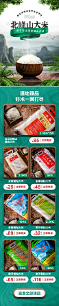 首页