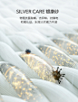 防螨抑菌 (1)