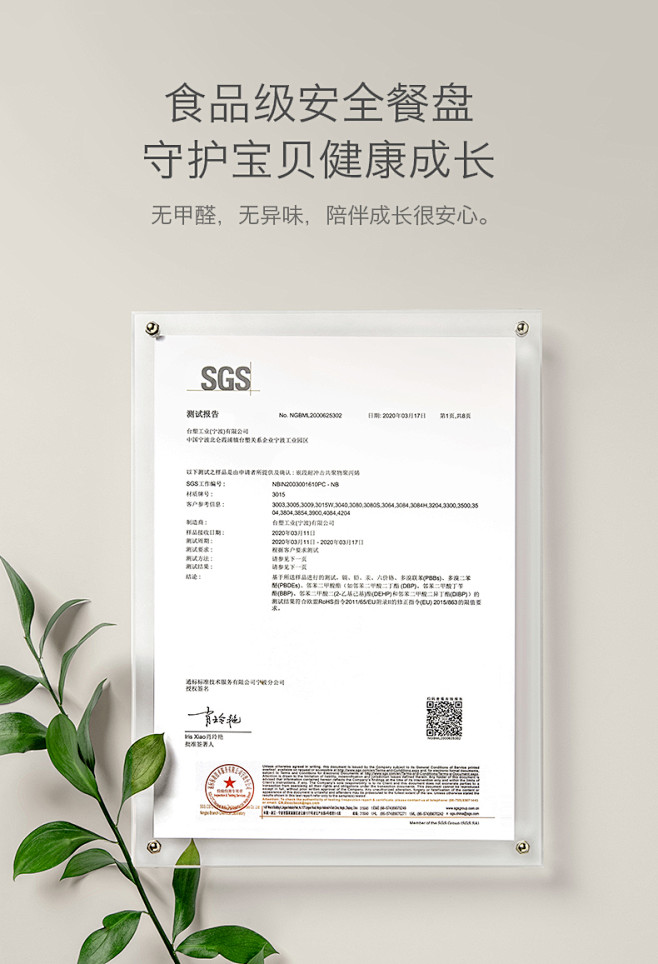 检测报告