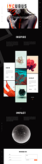 Incubus - Creative Agency Portfolio Website : Incubus Theme - Digital agency portfolio website showcasing creative work