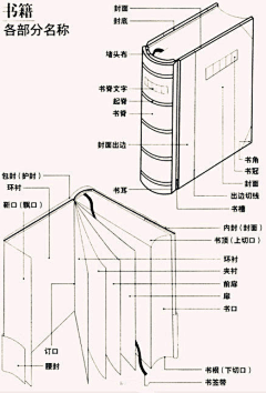 YUZ09采集到设计教程