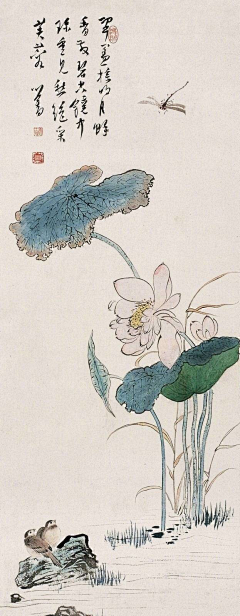 LULUG采集到莲花.综合