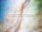 Search - UI 细节设计