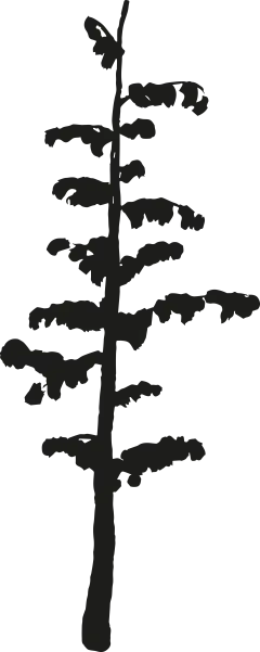 手绘圣诞冬季素描动物植物元素海报请柬免抠PNG图案 AI矢量素材 (124)