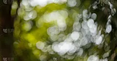 圆形,抽象,色彩鲜艳,背景聚焦,散焦,美,水平画幅,闪烁发光,奶油,泰国