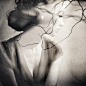 LA BELLE TRISTESSE