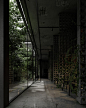 Photo by IGOR_SIROTOV_ARCHITECTS on June 28, 2022. May be an image of hallway, outdoors, tree and brick wall.