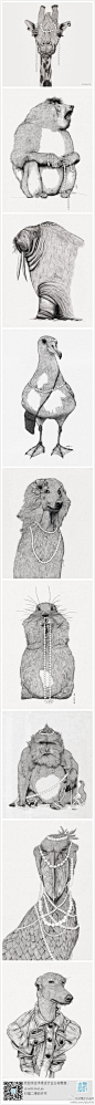 #求是爱插画#穿金戴银的动物插画。by:Henry Ye #采集大赛# #插画#