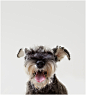 Little Friends: Yuni on the Behance Network