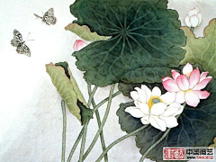 难死我算了采集到国画