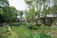 大大力水手采集到架空栈道
