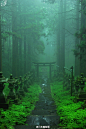 雨雾中的日本上色见熊野神社，让人想起了萤火之森！ #日本新鲜事#