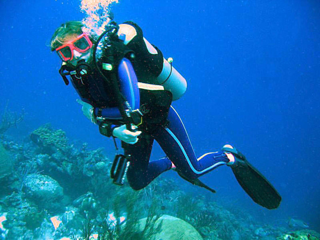 Hobby_diver