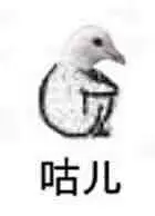 鸟表情包图片-鸟表情包设计素材-鸟表情包模板下载_花瓣网
